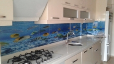 Deniz alt resimli mutfak tezgah aras cam panel